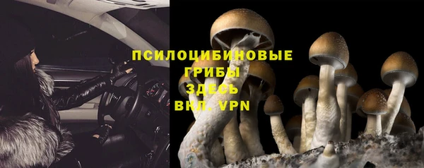прущие крисы Алексин