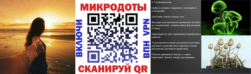 Галлюциногенные грибы MAGIC MUSHROOMS  Новодвинск 